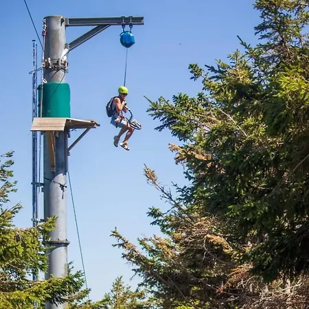 Apartment La Petite Luge Sur Les Pistes, Wifi Centre Station Super-besse
