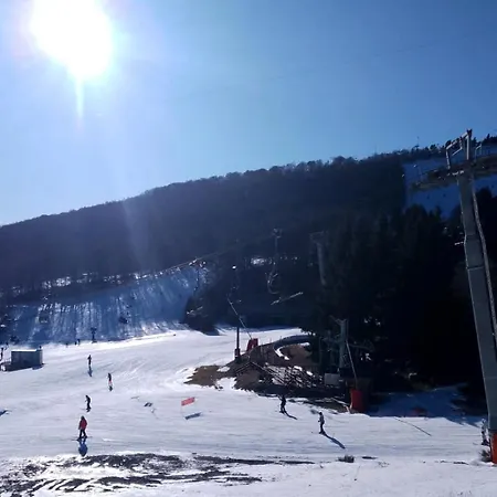 La Petite Luge Sur Les Pistes, Wifi Centre Station Super-besse Apartment