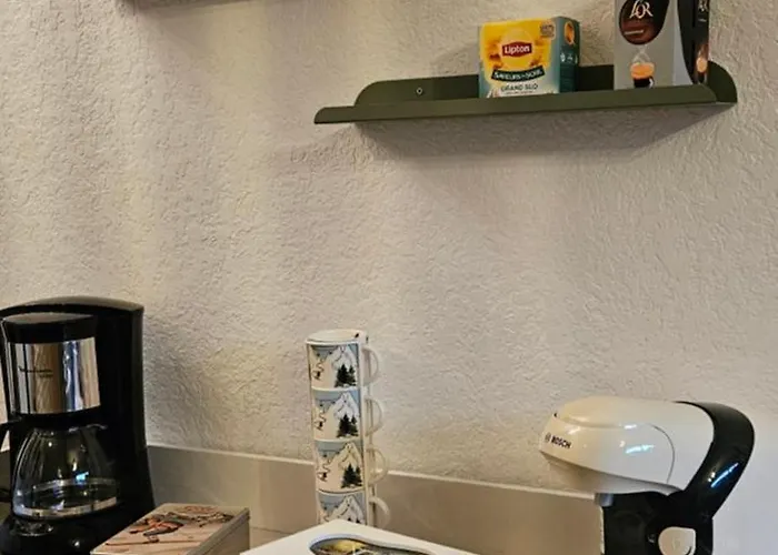 La Petite Luge Sur Les Pistes, Wifi Centre Station Super-besse Lägenhet *