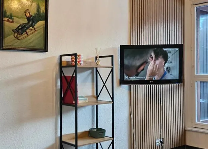 La Petite Luge Sur Les Pistes, Wifi Centre Station Super-besse Besse-et-Saint-Anastaise