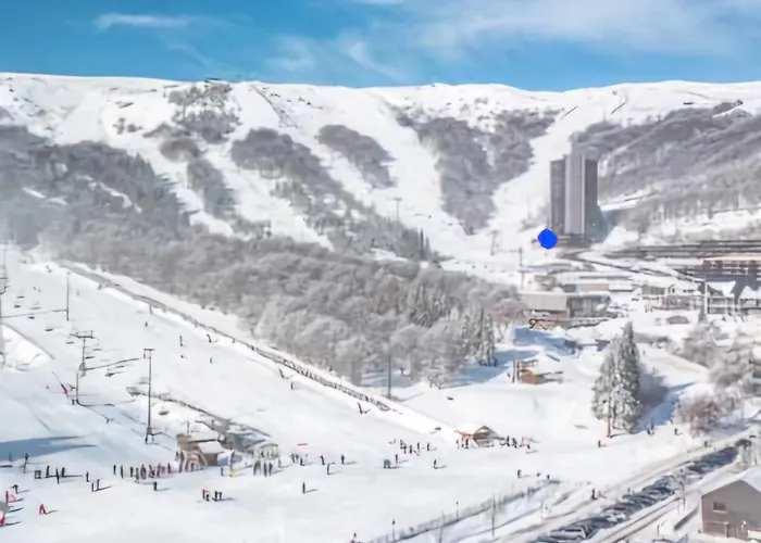 La Petite Luge Sur Les Pistes, Wifi Centre Station Super-besse Lägenhet *