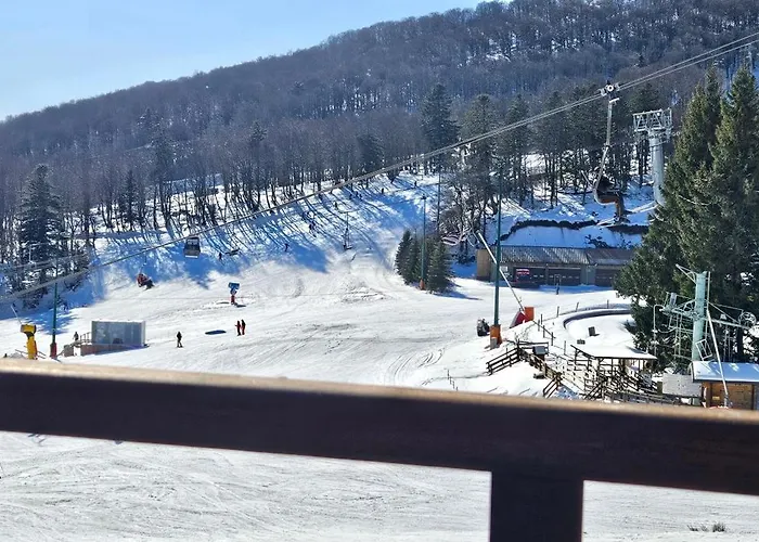 Lägenhet La Petite Luge Sur Les Pistes, Wifi Centre Station Super-besse *