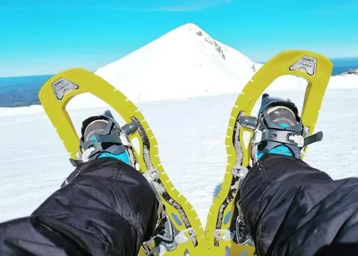 La Petite Luge Sur Les Pistes, Wifi Centre Station Super-besse * Besse-et-Saint-Anastaise