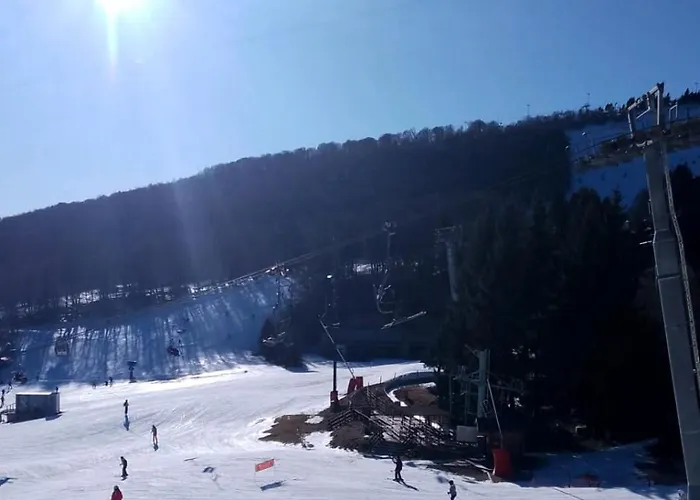 La Petite Luge Sur Les Pistes, Wifi Centre Station Super-besse Lägenhet